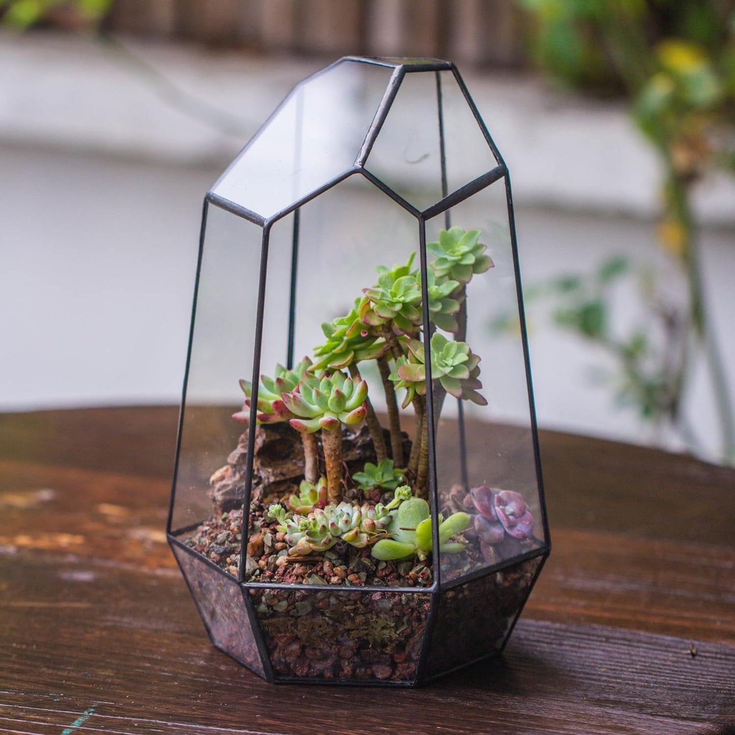 Geometric Plants Terrarium Planter - Glass Terrarium for Succulent, Cacti - 6.5X5.7X9.8 Inches - Indoor Tabletop Irregular Opened Container Pot for Home, Garden, Office Decor, Black (No Plants)